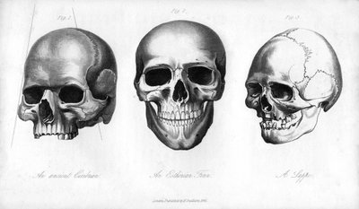 Antik Cimbrian, Esthonian Finn, Lappe, 1848 by Unbekannt
