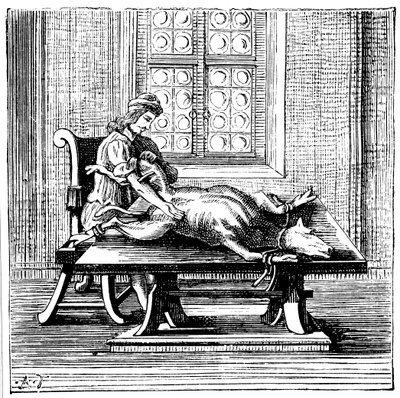 Hayvandan insana kan nakli, 1679 by Unbekannt
