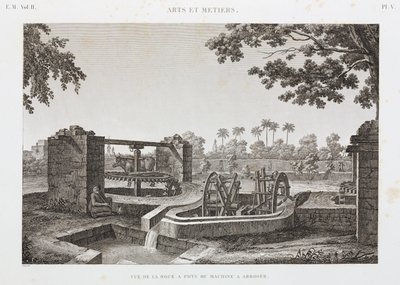 Animal Power Wheel ve kova sulama sistemi, Mısır, c 1798 by Unbekannt