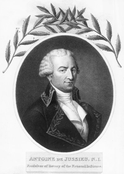Antoine de Jussieu, 18. yüzyıl Fransız botanikçisi, 1807 by Unbekannt