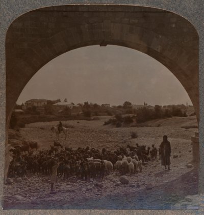 Jericho