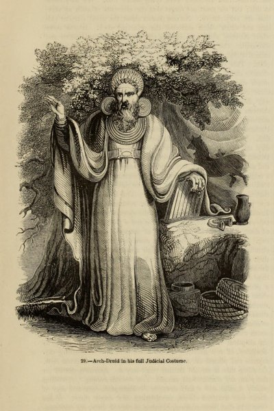 Arch-Druid Adli Kostümüyle Old England: A Picture Museum, 1845 kitabından by Unbekannt