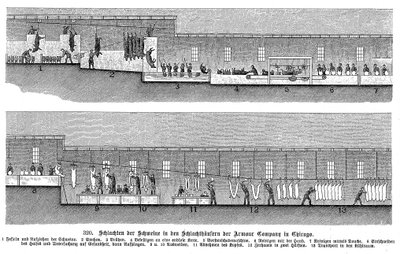Armor Companys domuz mezbahası, Chicago, Illinois, ABD, 1895 by Unbekannt