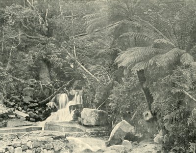 St. Crispins Kuyusunda, 1901. by Unbekannt