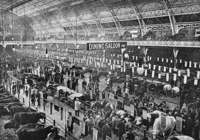 Smithfield Club sığır fuarında, Tarım Salonu, Islington, Londra, 1902 1903 by Unbekannt