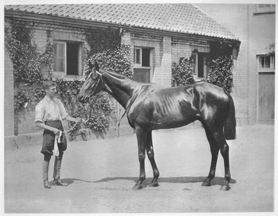 Avustralya Yıldızı, 1911 by Unbekannt