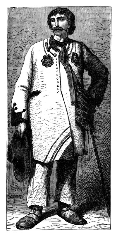 Avusturyalı köylü, c1890 by Unbekannt