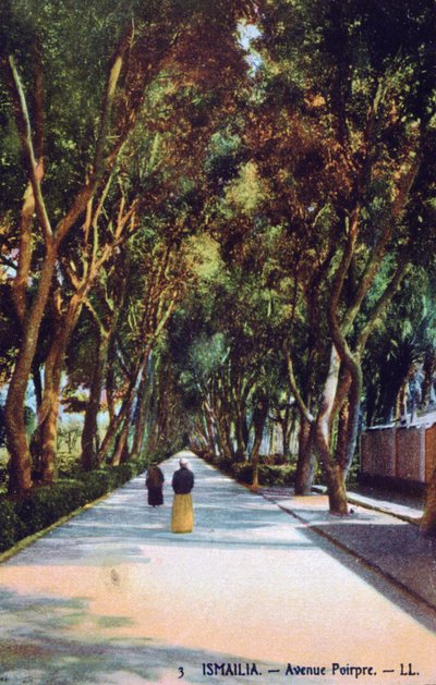 Avenue Poirpre, İsmailiye, Mısır, c1900 by Unbekannt