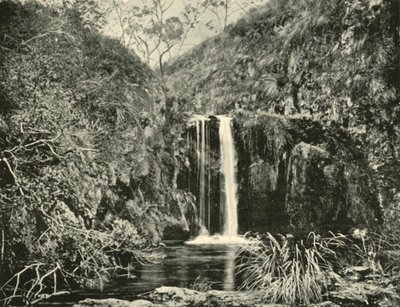 Back Creek Şelaleleri, Buchan Nehri, Victoria, 1901. by Unbekannt