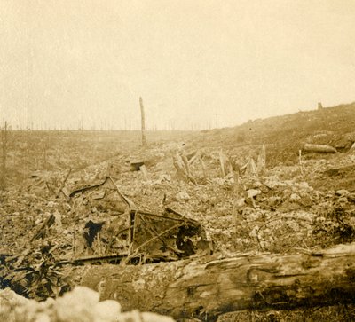 Battlefield, Bezonvaux, Verdun, kuzey Fransa, c1914-c1918 by Unbekannt