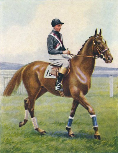 Savaş Gemisi, Jokey: B. Hobbs, 1939 by Unbekannt