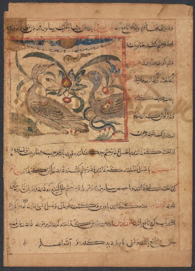 Akbaba Parçalarının Faydaları... tam tersi, 1200