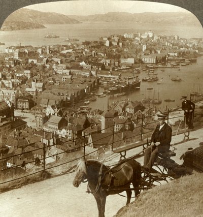 Bergen, Floifjeld