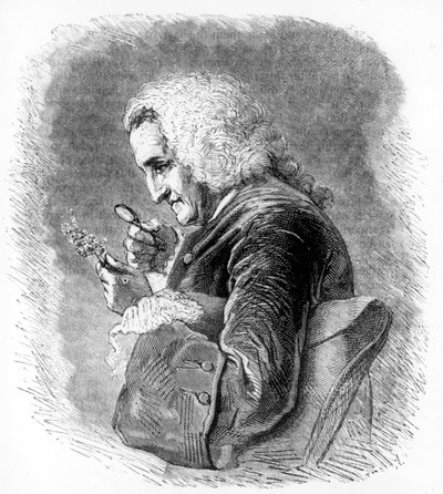 Bernard de Jussieu, 18. yüzyıl Fransız botanikçisi, 1880 by Unbekannt