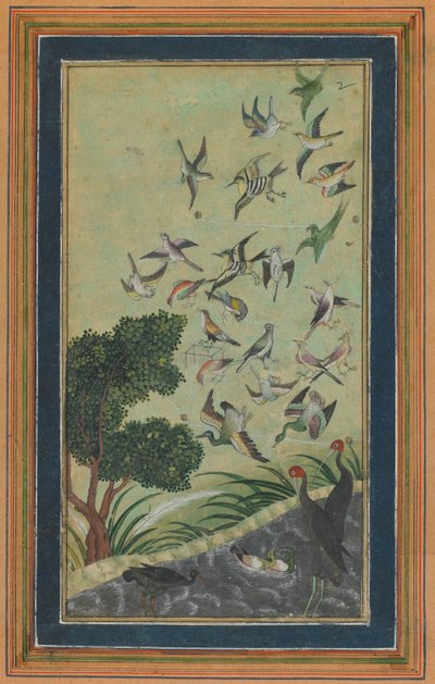Baran