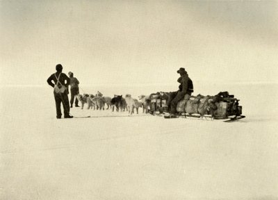 Bariyerdeki Bluff Depot Partisi, c1908, 1909. by Unbekannt