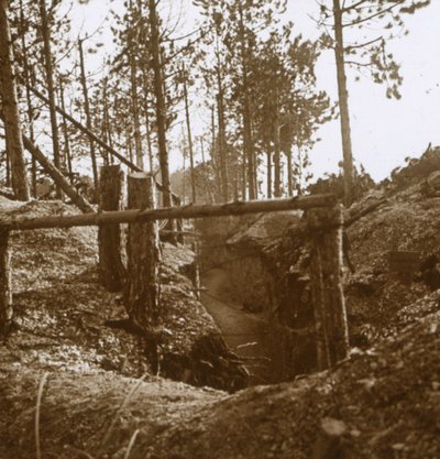 Bois-le-Prêtre, kuzey Fransa, c1914-c1915 by Unbekannt