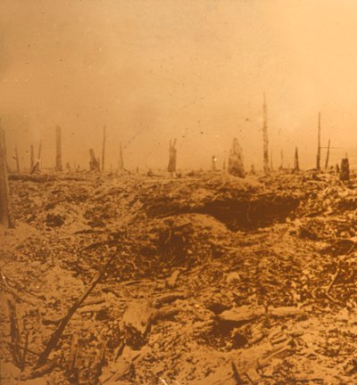 Bois du Chapitre, Vaux, kuzey Fransa, c1914-c1918 by Unbekannt