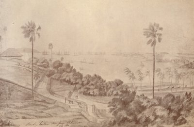 Bombay Limanı - Belmont