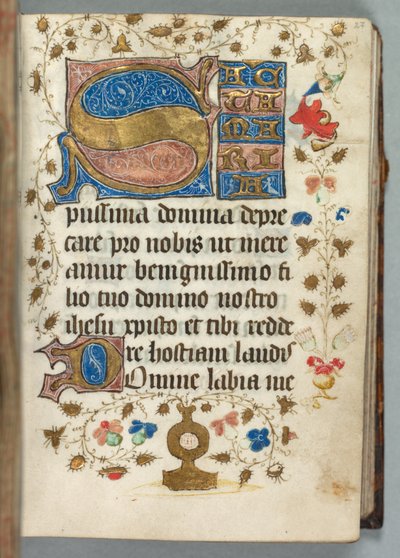 Metz Kullanım Saatleri Kitabı: Fol. 27r, Süslü Harfler, c. 1440. by Unbekannt
