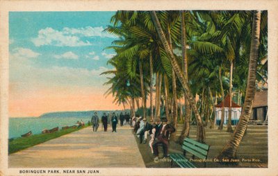San Juan yakınlarındaki Borinquen Parkı, 1909 by Unbekannt