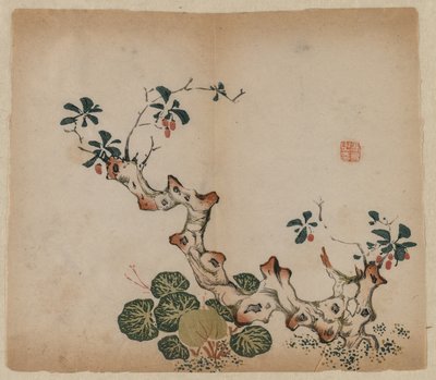 Dallanma Güdük, 1368-1644. by Unbekannt