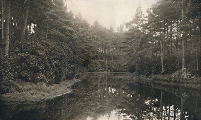 Branksome Çin ve Göl, c1910 by Unbekannt