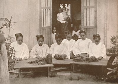 Birmanya Puro Üreticileri, 1900. by Unbekannt