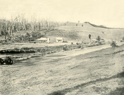 Bush Workmans Evi, Gippsland, Victoria, 1901. by Unbekannt