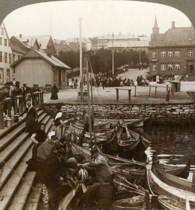 Yoğun bir Arktik ticaret limanında balık satın almak, Tromsoe 69° 38 N. Lat., Kuzey Norveç, 1902. by Unbekannt