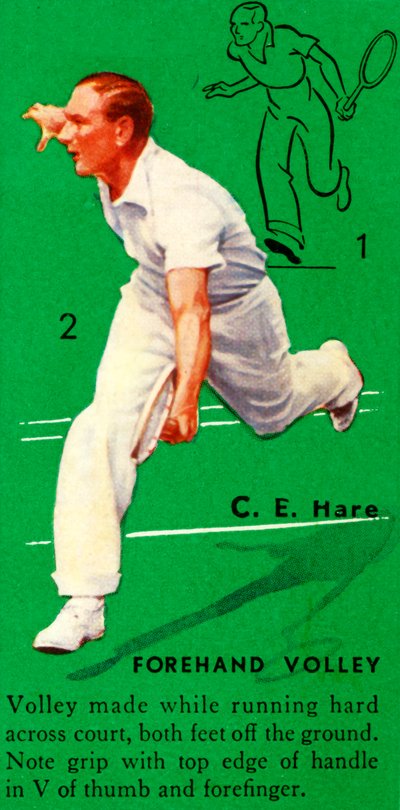 CE Hare - Forehand Voleybolu, c1935. by Unbekannt