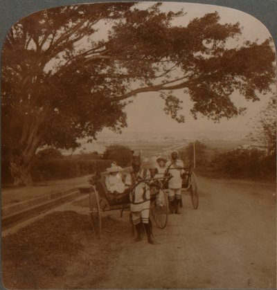 Yerliler tarafından bir konut yolunda çekilen taksiler, Durban, G. Africa, c1900 by Unbekannt