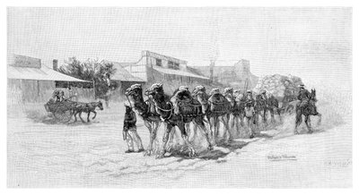 Deve takımı, Wilcannia, Yeni Güney Galler, Avustralya, 1886 by Unbekannt