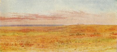 Kanada Çayırı, 1924 by Unbekannt