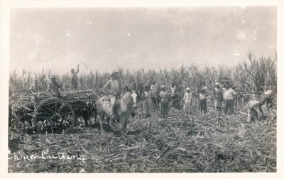 Baston Kesme, c1930 by Unbekannt