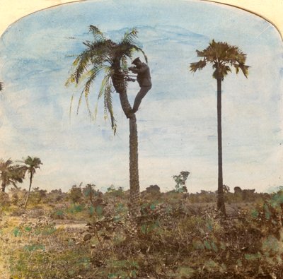 Kaptan Osman