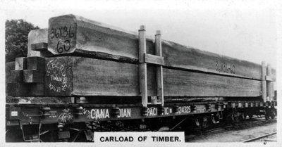 Douglas köknarının Carload