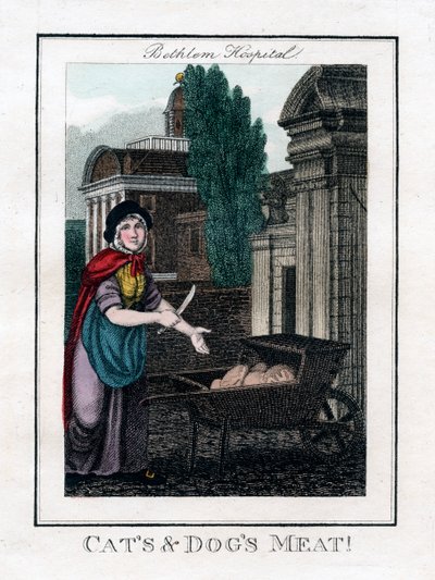 Kediler ve Köpekler Eti!, Bethlem Hastanesi, Londra, 1805 by Unbekannt