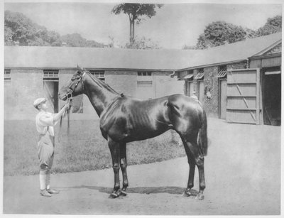 Chandon, 1911 by Unbekannt