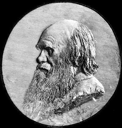 Charles Darwin, 1882 by Unbekannt