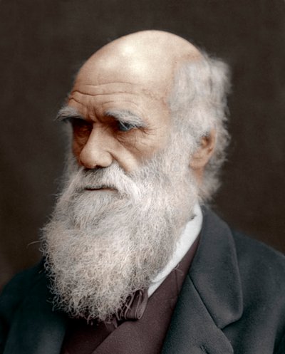 Charles Darwin, İngiliz doğa bilimci, 1878 by Unbekannt