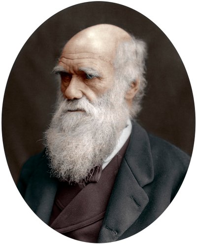 Charles Darwin, İngiliz doğa bilimci, 1878 by Unbekannt