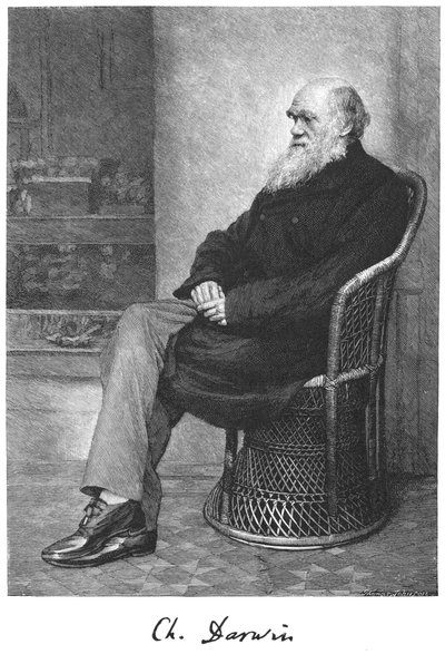 Charles Darwin, İngiliz doğa bilimci, 1883 by Unbekannt