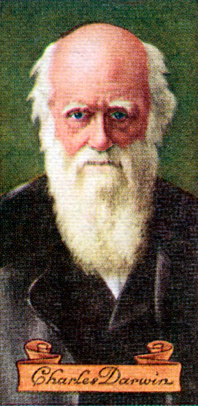 Charles Darwin, bir dizi sigara kartından alındı, 1935 by Unbekannt