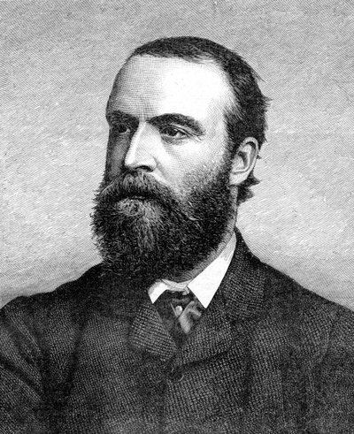Charles Stuart Parnell, 19. yüzyıl İrlandalı Politikacı, c1874-1891 by Unbekannt