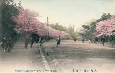 Uyeno Park Tokyo