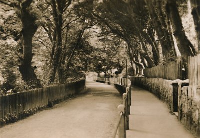 Chine Avenue, Shanklin, I.W., c1920. by Unbekannt