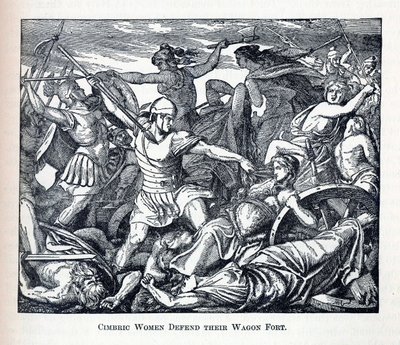 Cimbric Kadınlar Vagon Kalesini Savunuyor, 1882 by Unbekannt