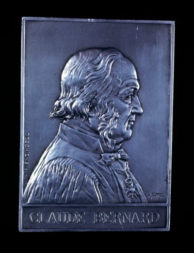 Claude Bernard, 19. yüzyıl Fransız fizyologu, 1913 by Unbekannt