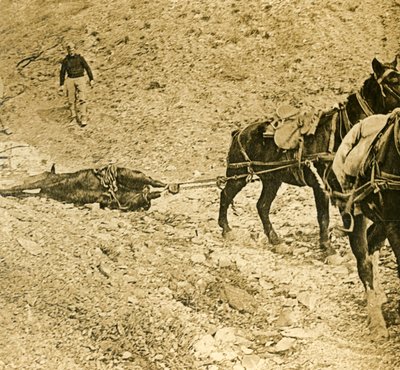Savaş alanını temizlemek, c1914-c1918 by Unbekannt